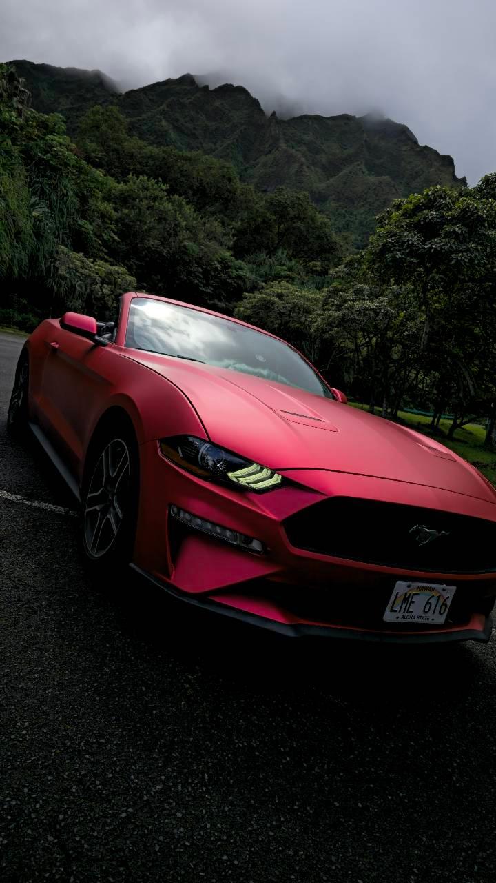 Ford Mustang 2020 in 