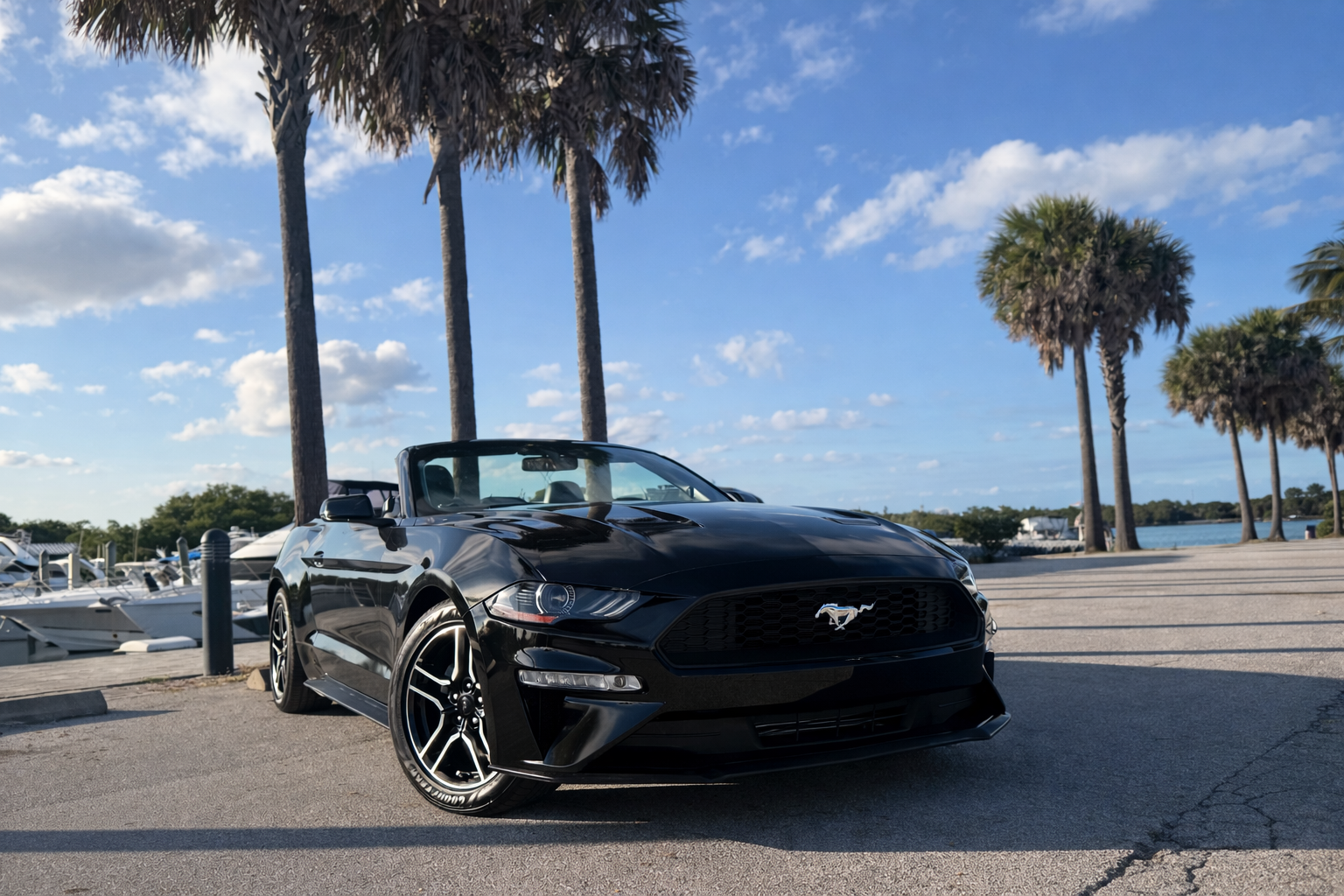 Ford Mustang 2018 in 