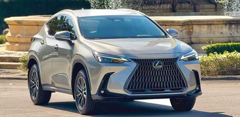 Lexus NX 2019
