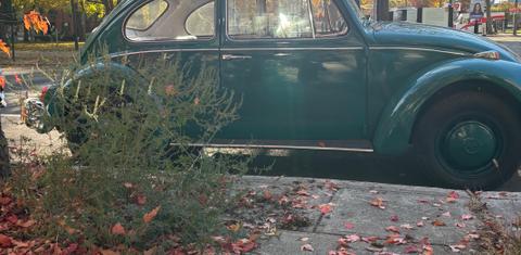 Volkswagen Beetle 1967