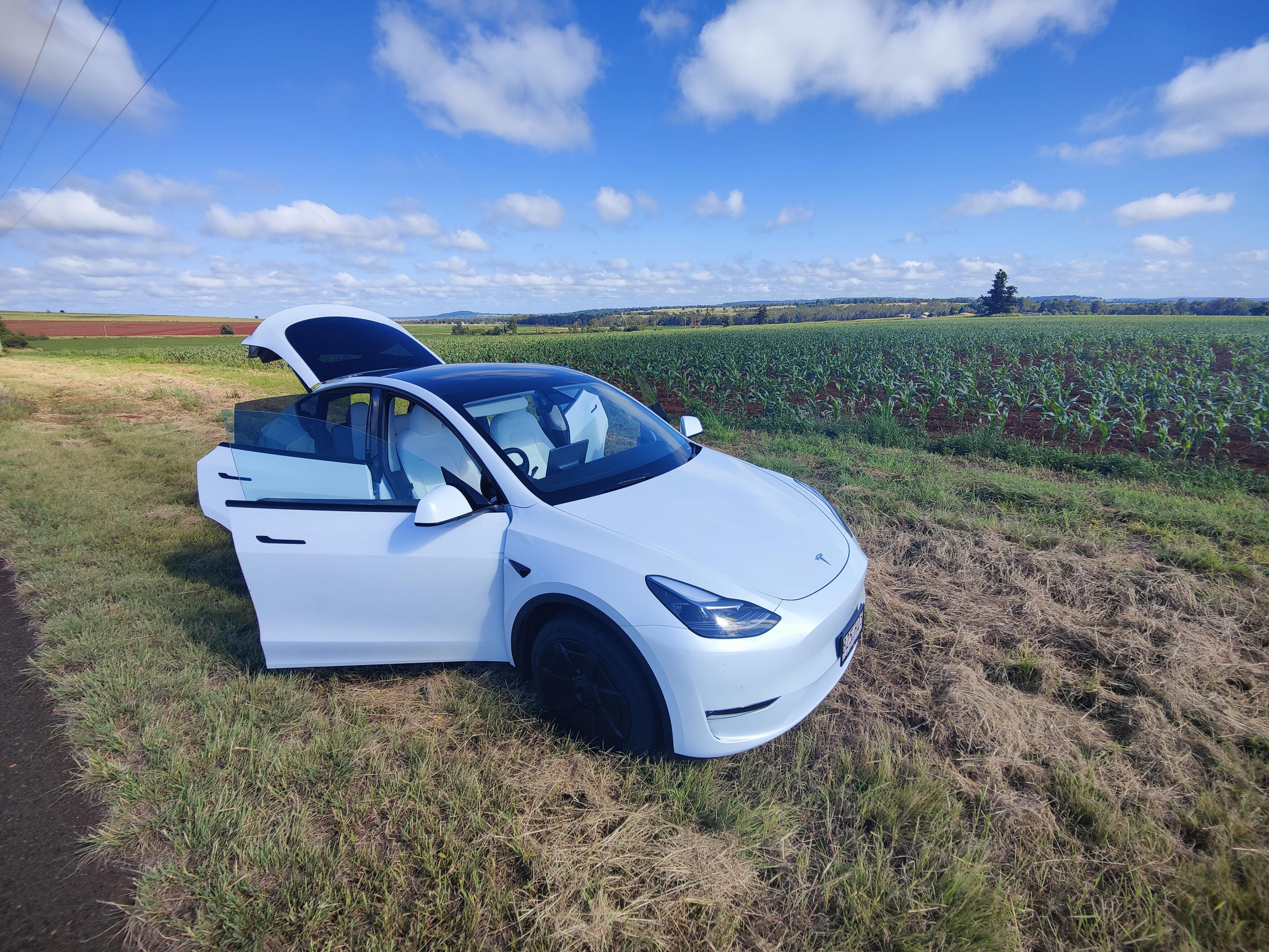 Tesla MODEL Y 2023 in Toowong