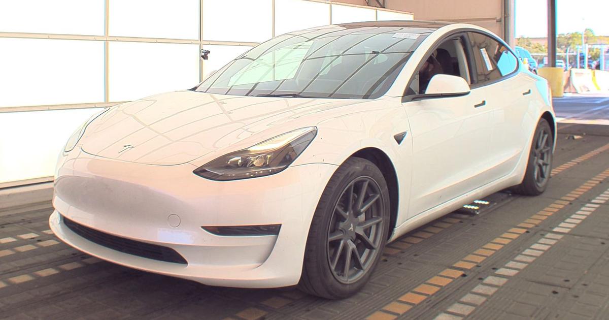 Tesla Model 3 2023 rental in Tampa, FL by SUN STATE R. Turo