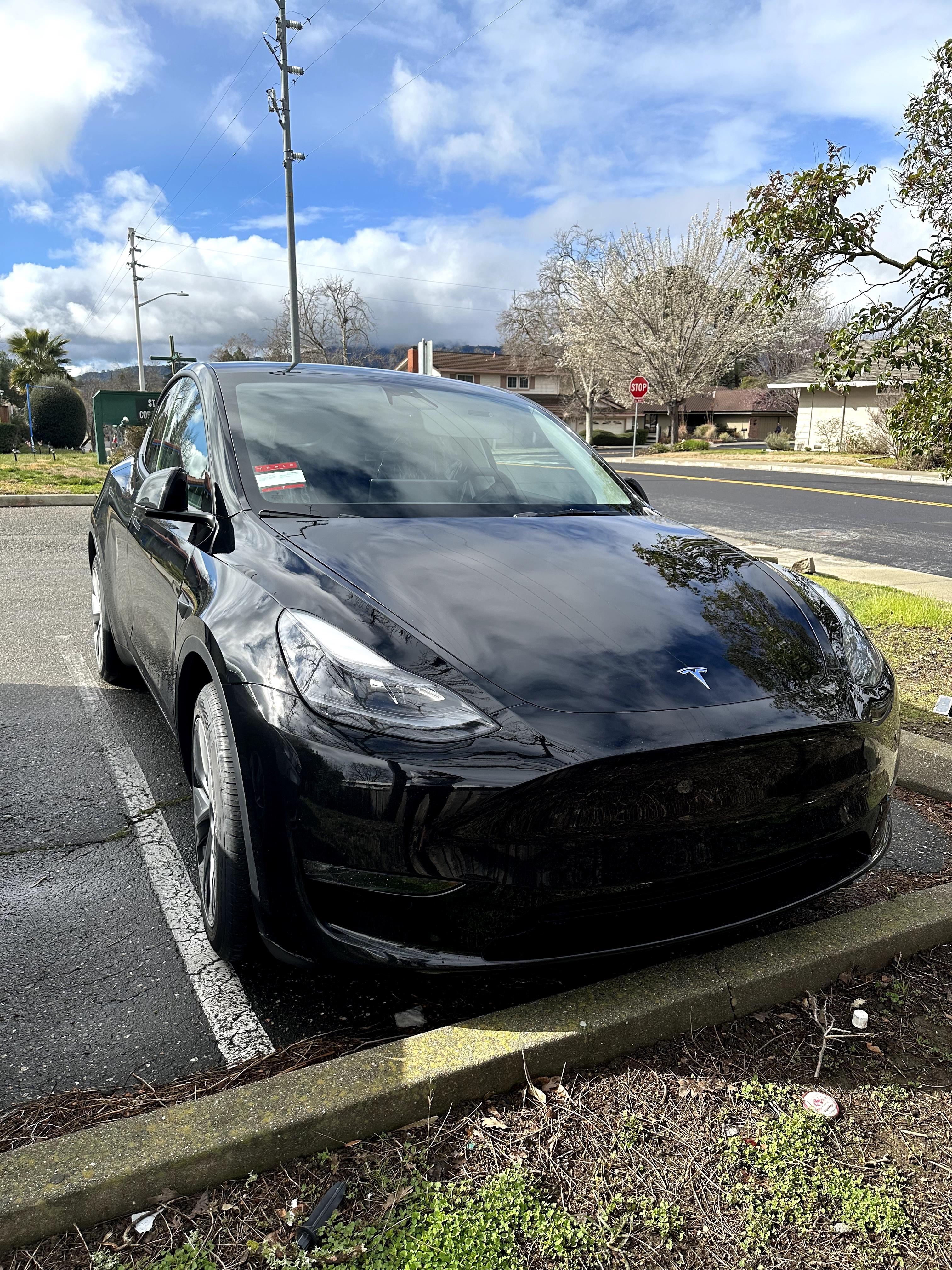 Tesla Model Y 2023 in Cupertino, CA