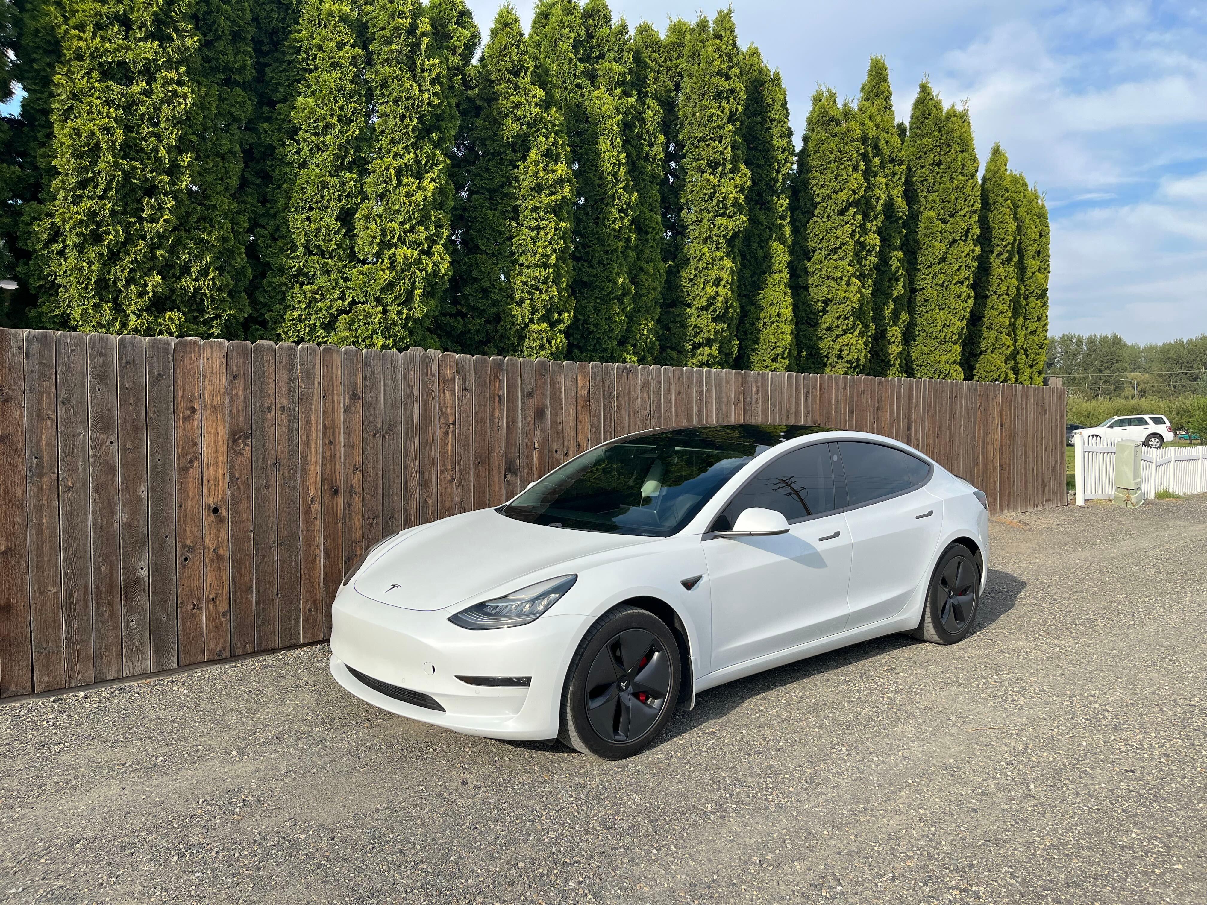 Tesla Model 3 2018 in Pasco, WA
