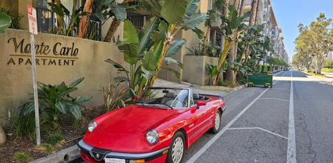 Alfa Romeo Spider Quadrifoglio 1986