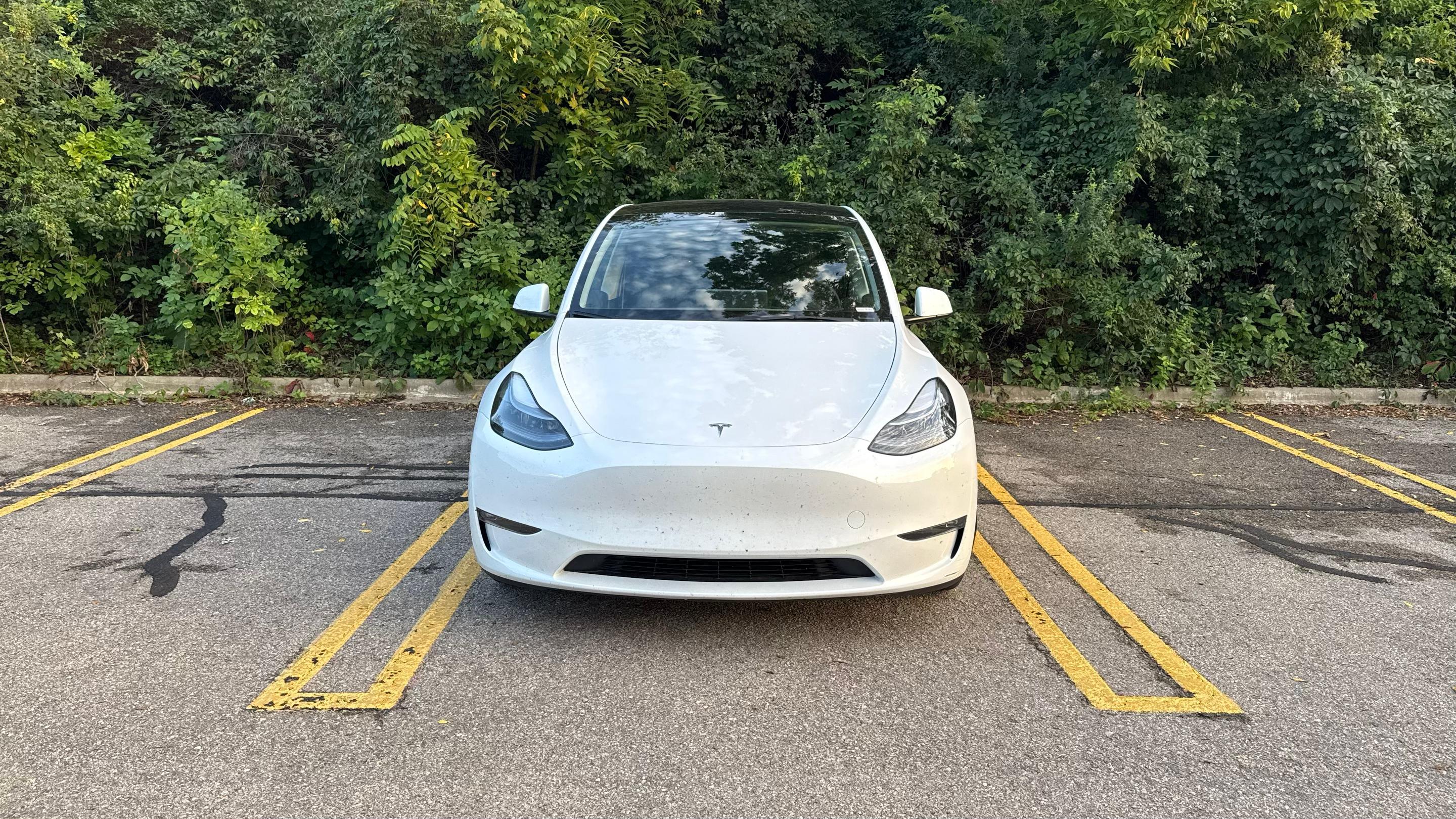 Tesla Model Y 2024 in Madison, WI
