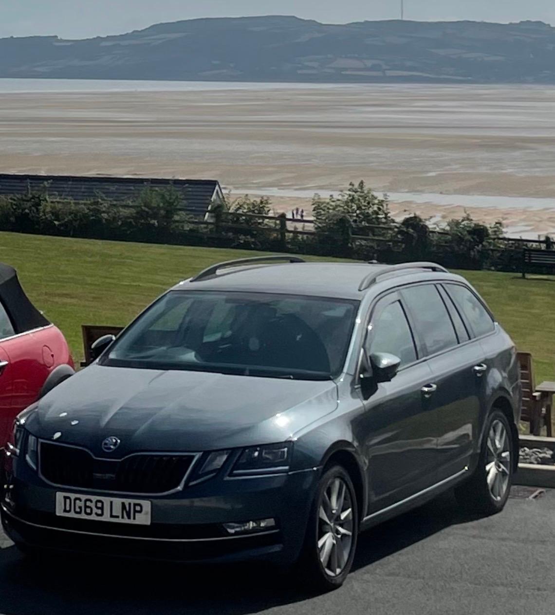 Skoda Octavia 2019 in Shawbury