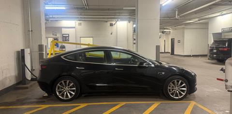 Tesla Model 3 2019
