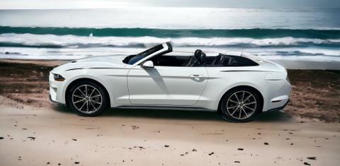 Ford Mustang 2019