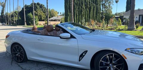 BMW 8 Series 2024
