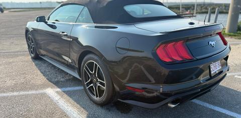 Ford Mustang 2022