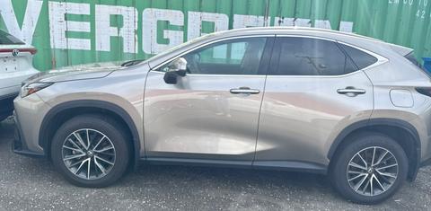 Lexus NX 2024