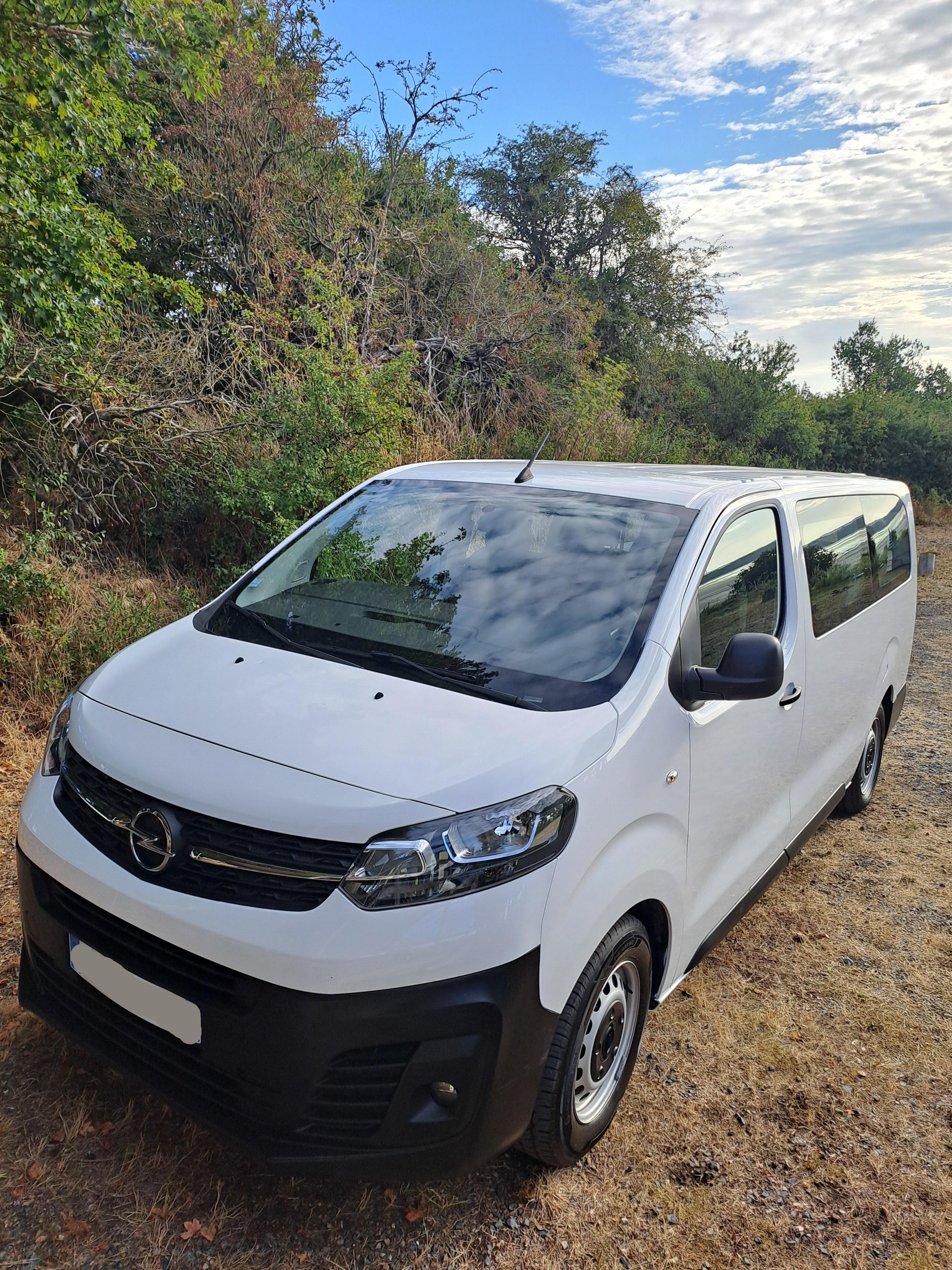 Opel VIVARO 2021 in Schlierbach