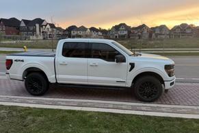 Ford F-150 2024 in Vaughan