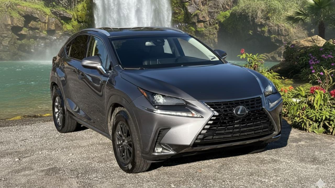 Lexus NX 2019 in 