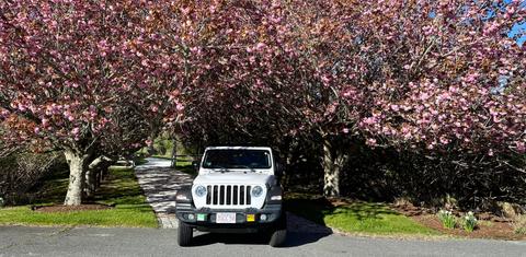 Jeep Gladiator 2020