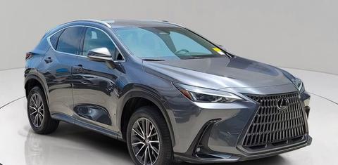 Lexus NX 2025