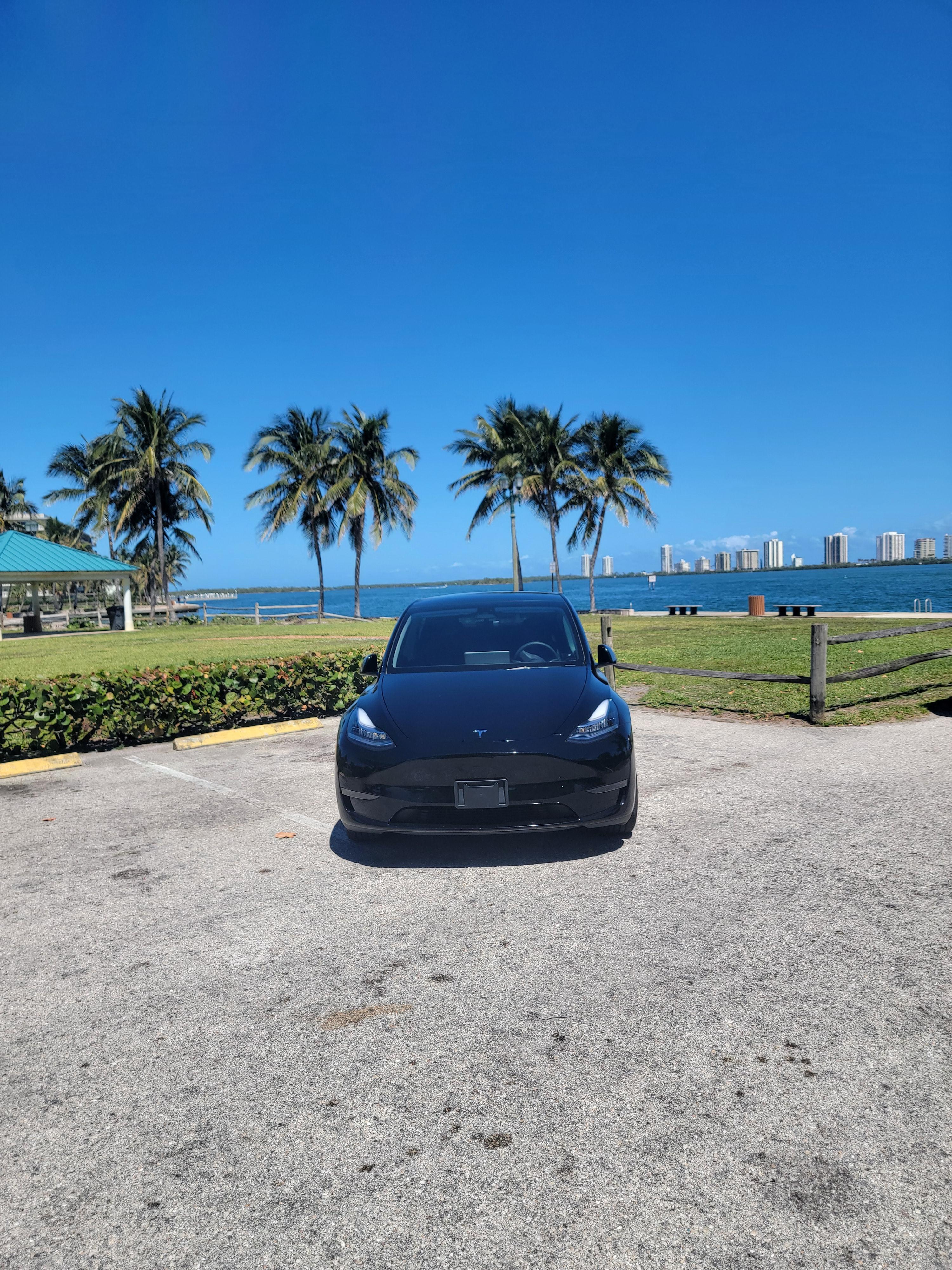 Tesla Model Y 2023 in Lake Worth, FL