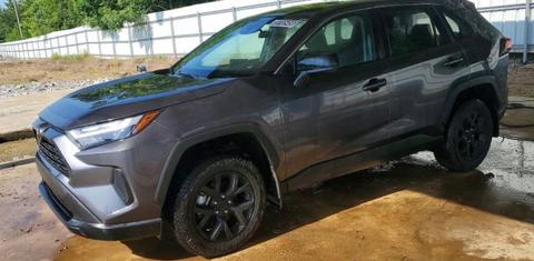 Toyota RAV4 2024