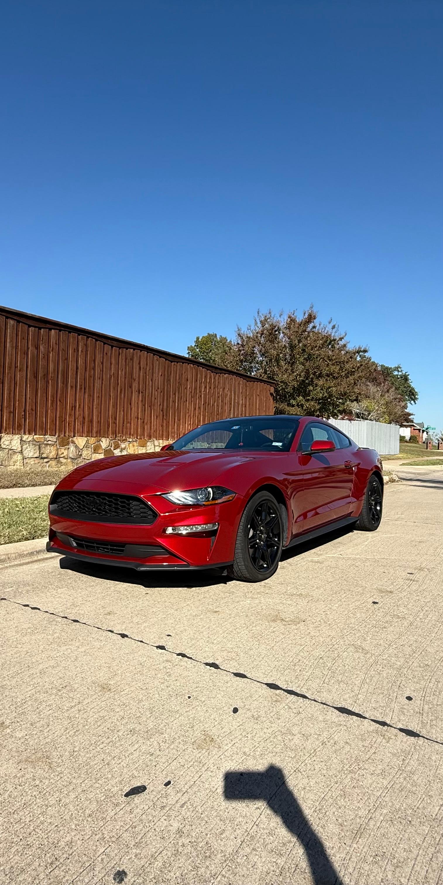 Ford Mustang 2020 in Frisco, TX