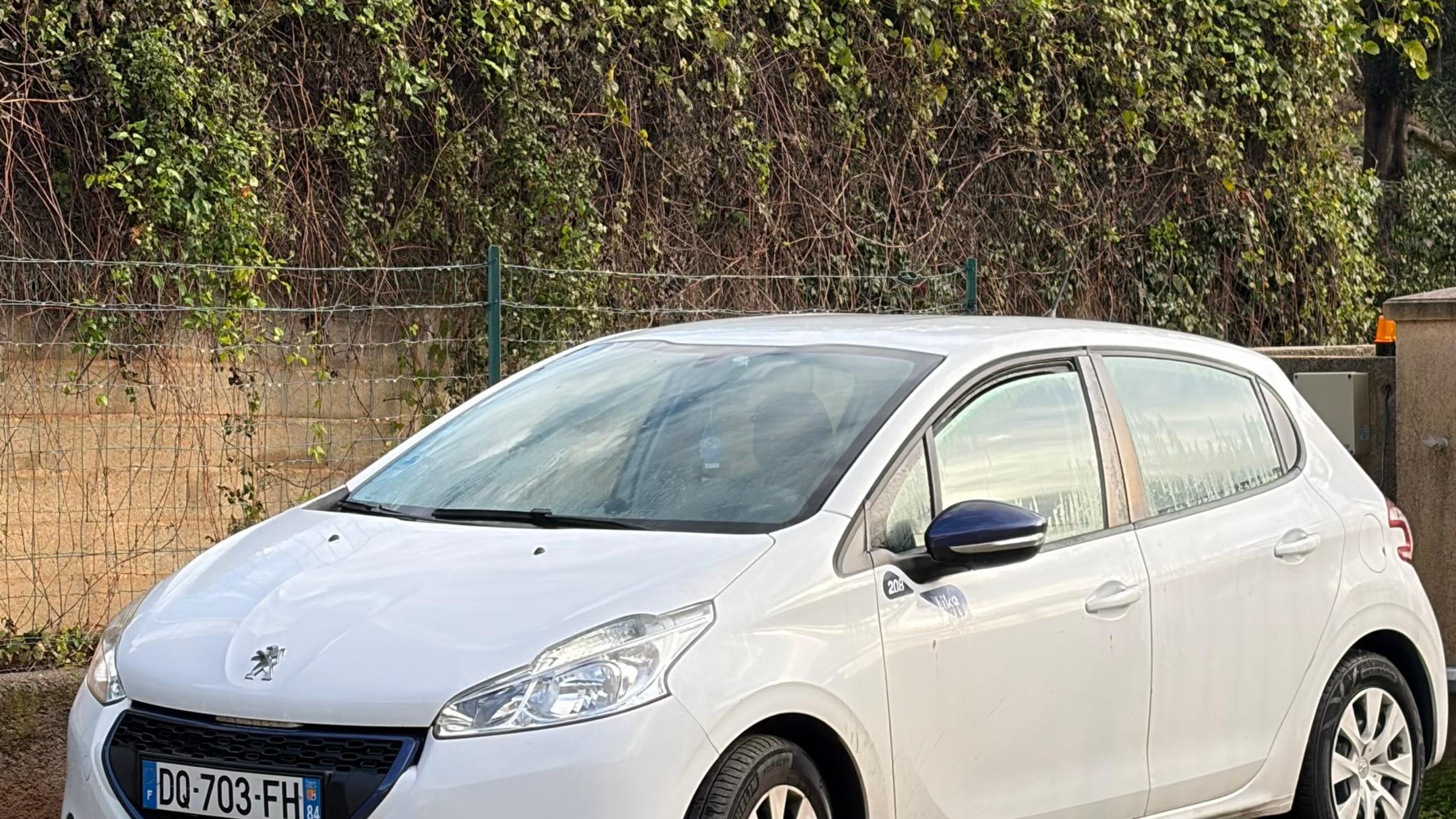 Peugeot 208 2015 à Penta-di-casinca
