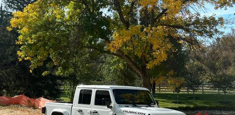 Jeep Gladiator 2022