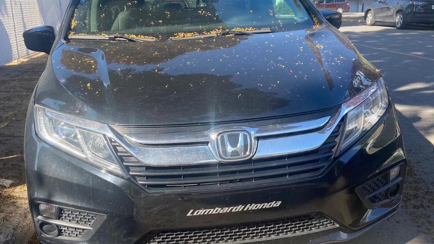Honda Odyssey 2019 à Montréal, QC