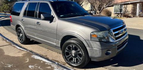 Ford Expedition 2014