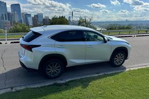 Lexus NX 2020 à Calgary