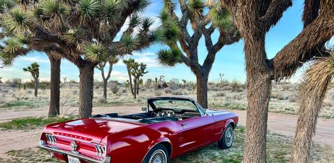 Ford Mustang 1967