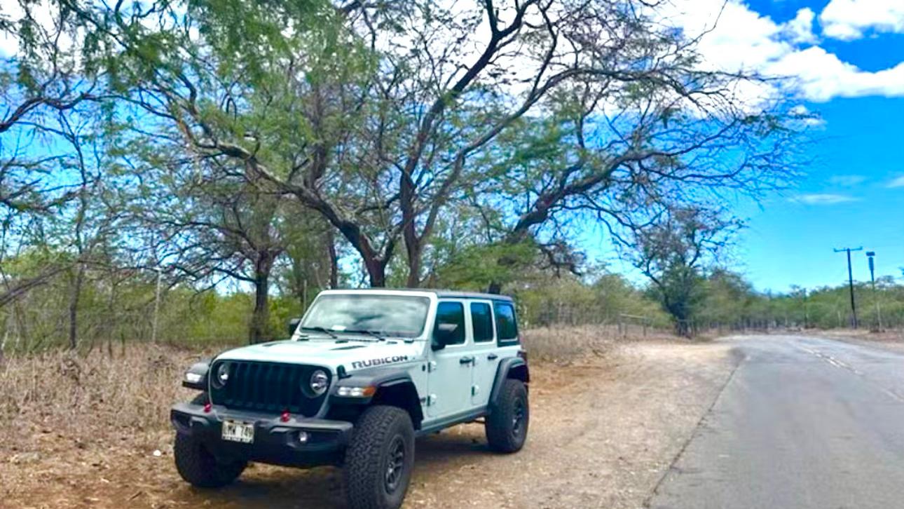 Jeep Wrangler 2023 in 
