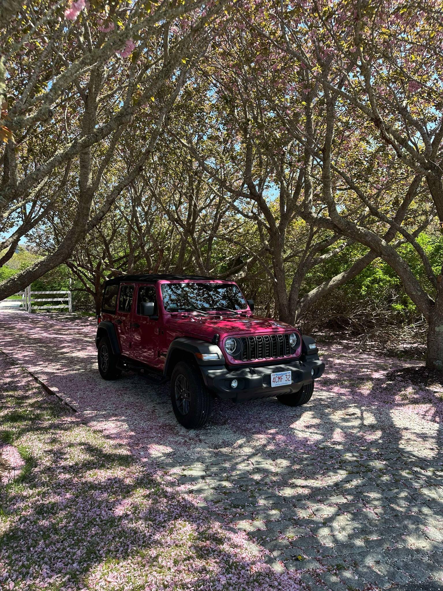 Jeep Wrangler 2024 in 