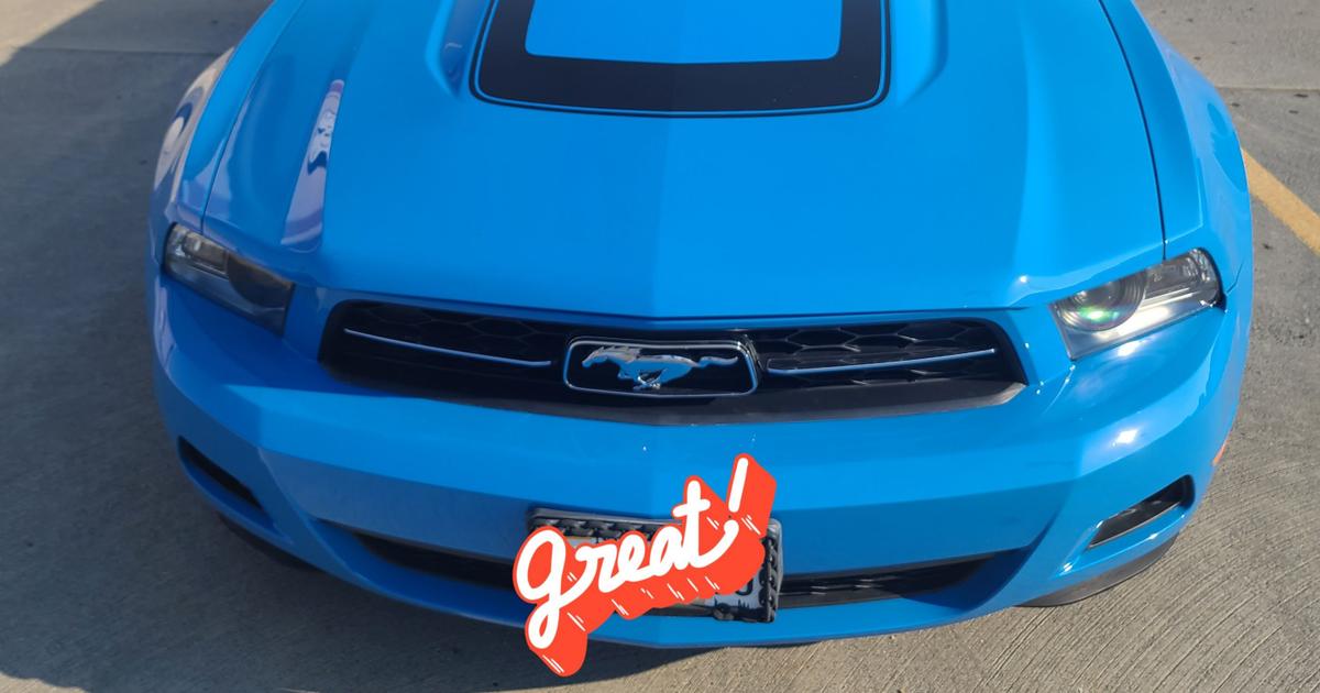 Ford Mustang 2010 rental in Mount Vernon, NY by Lana S. Turo