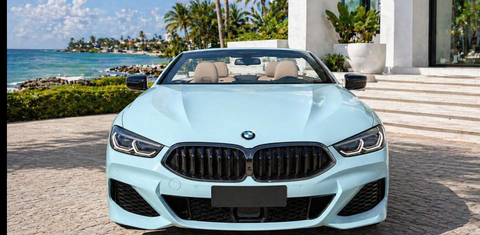 BMW 8 Series 2019