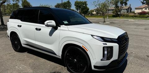 Hyundai Palisade 2025