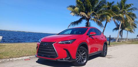 Lexus NX 2023