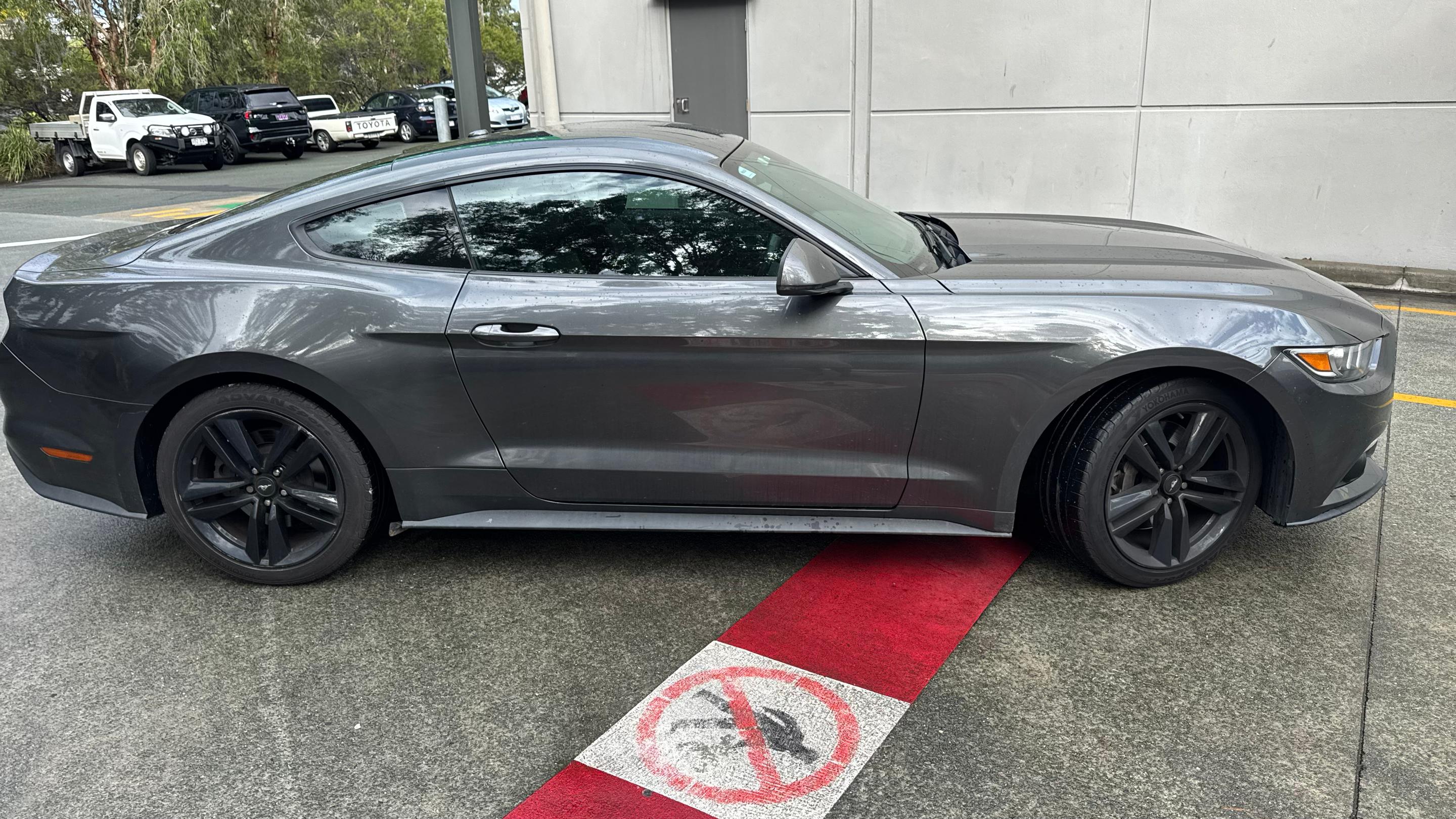 Ford MUSTANG 2017 in Hamilton