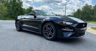 Ford Mustang 2020 — Car rental alternative in Pensacola, FL