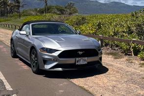 Catégorie de véhicule : Ford Mustang