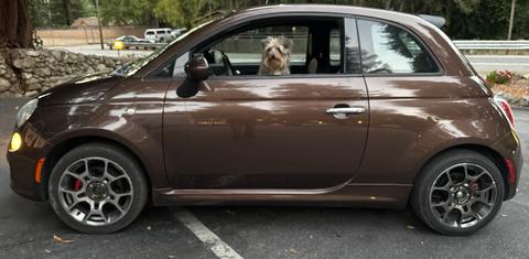 FIAT 500 2014