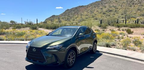 Lexus NX 2024