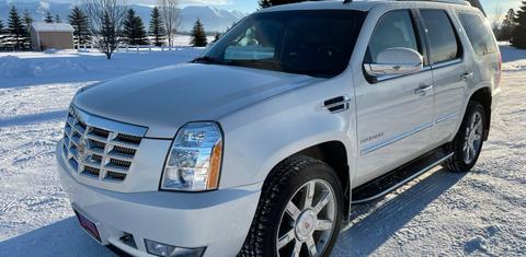 Cadillac Escalade 2013