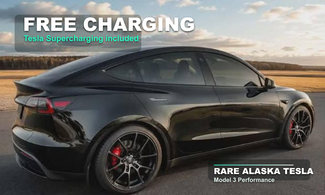 Tesla Model 3 2019 in Kenai, AK