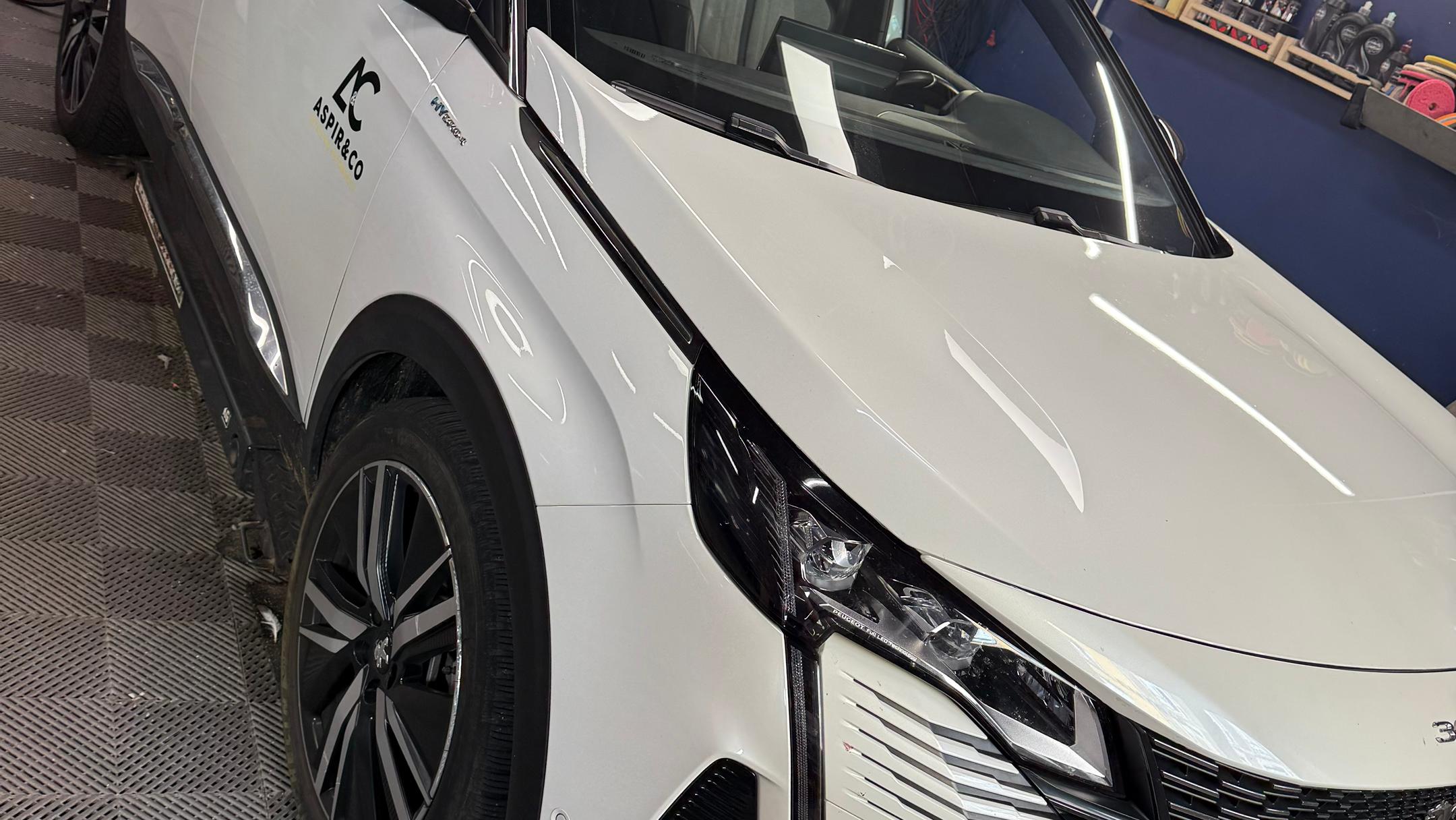 Peugeot 3008 2021 à Le Puy-en-Velay