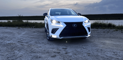 Lexus NX 2021