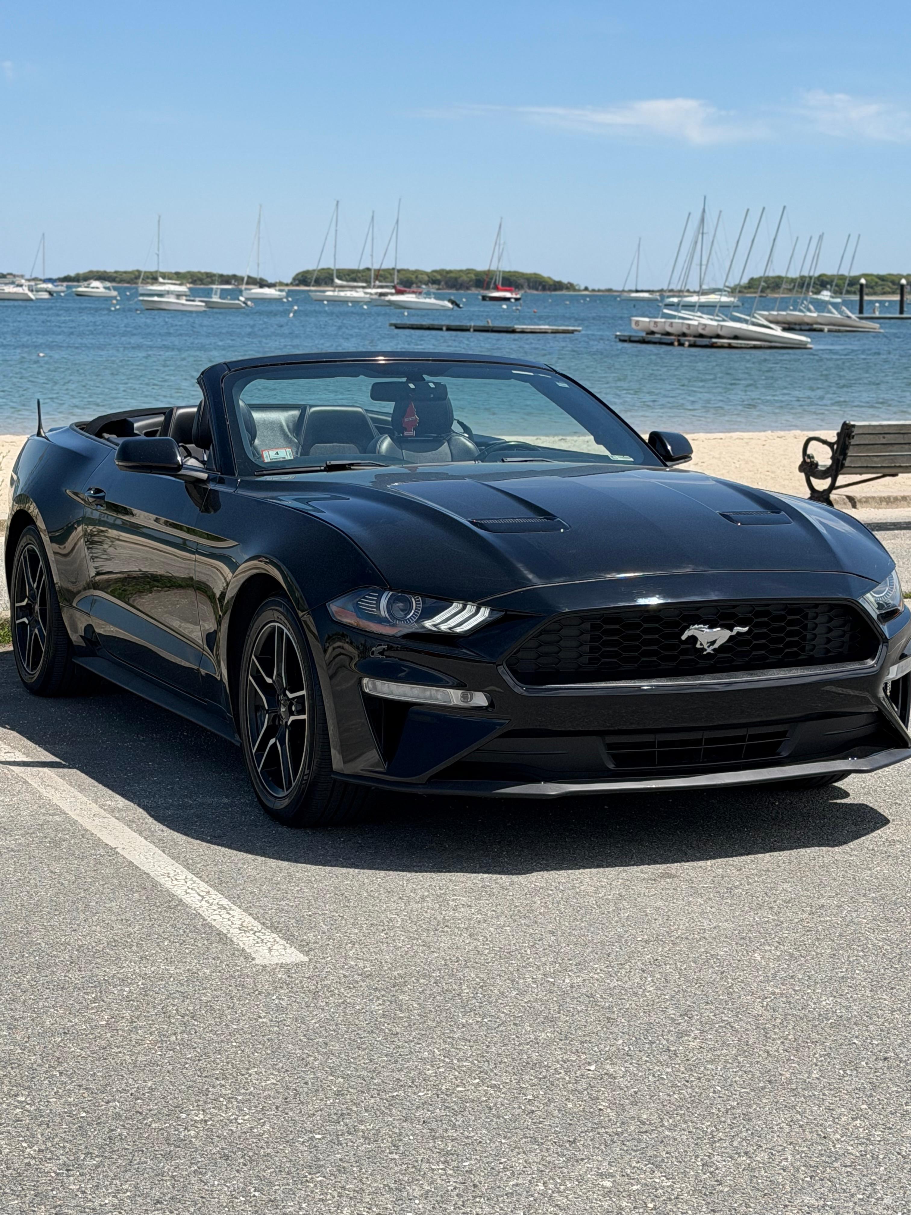 Ford Mustang 2019 in Barnstable, MA