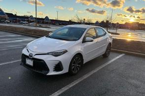 Toyota Corolla car