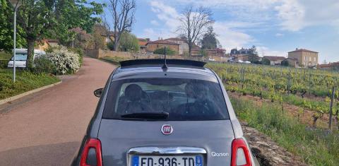 FIAT 500 2019
