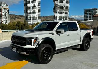 Catégorie de véhicule : Ford F-150