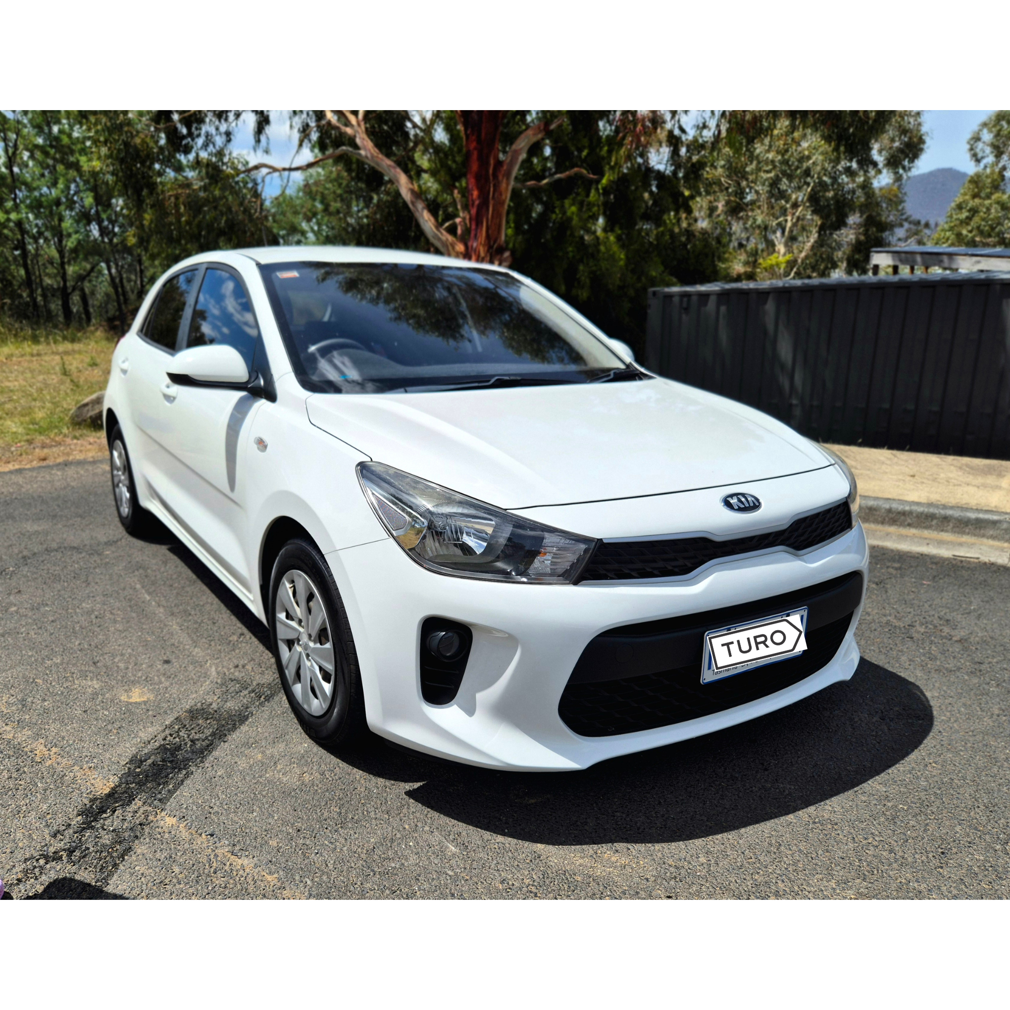 Kia RIO 2017 in Queens Domain